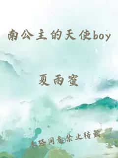 南公主的天使boy