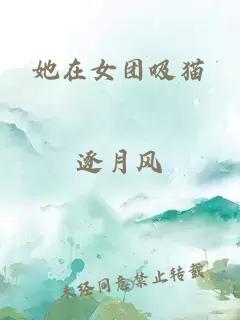 她在女团吸猫