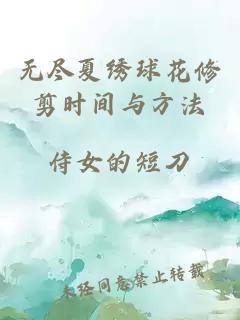 无尽夏绣球花修剪时间与方法