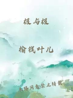 极与极