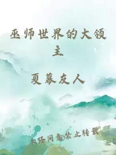 巫师世界的大领主