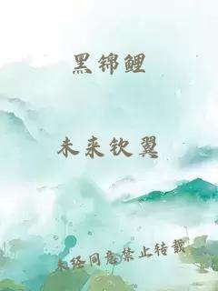 黑锦鲤