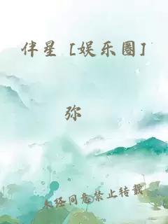 伴星 [娱乐圈]