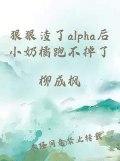 狠狠渣了alpha后小奶橘跑不掉了