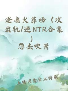 逐妻火葬场（攻出轨/逆NTR合集）