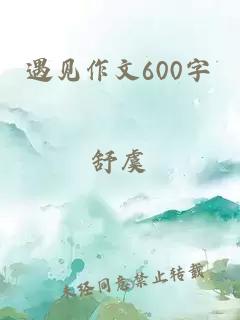 遇见作文600字