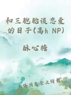 和三胞胎谈恋爱的日子(高h NP)