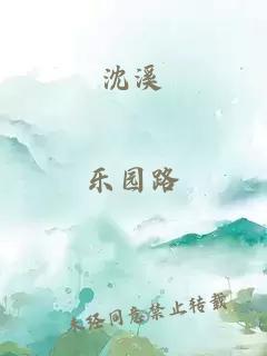 沈溪