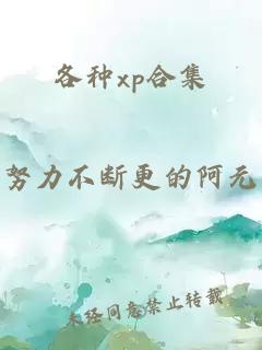 各种xp合集