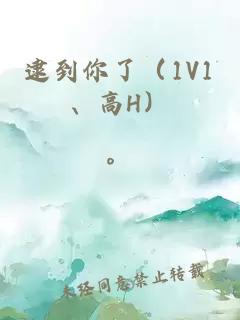 逮到你了（1V1、高H）