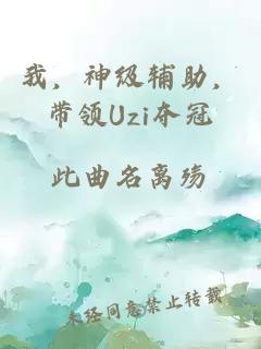 我，神级辅助，带领Uzi夺冠