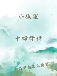 小狐狸