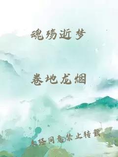 魂殇逝梦