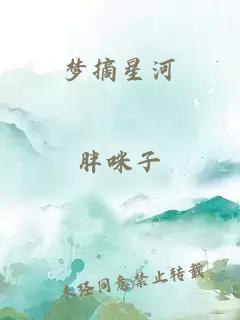 梦摘星河